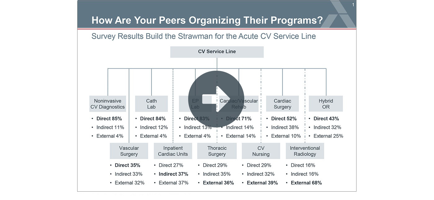 CV Organizational and Governance Structure Data